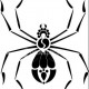 iispyderii