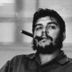 ayoubzegh